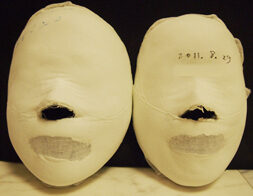 Shinzuku Before and After 16 Sessions